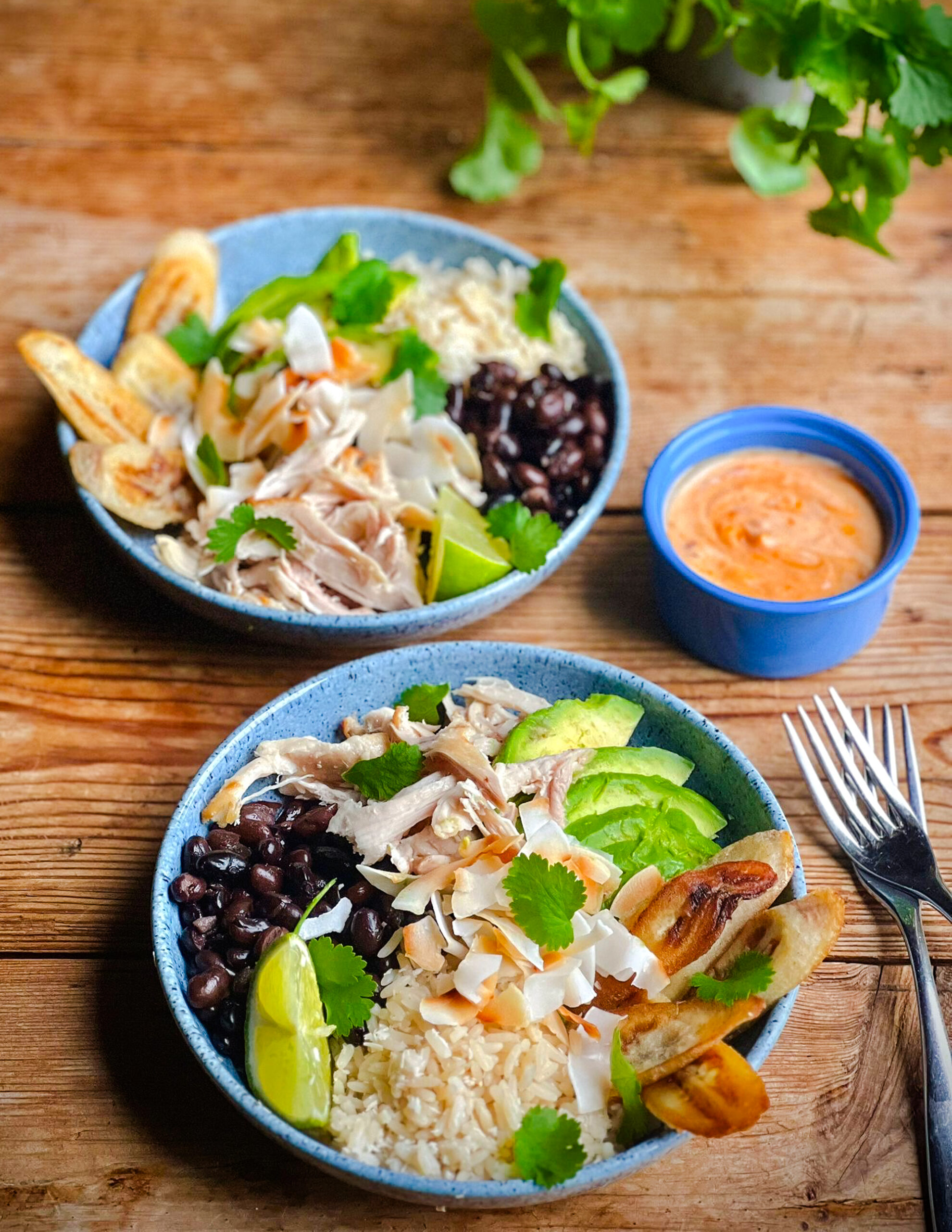Chicken & Plantain Rice Bowl with Hot Pepper Dressing - Ainsley Harriott